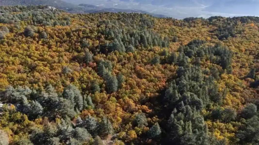 Dünyada Sadece Isparta'da Var! İzinsiz Girenlere 557 Bin TL Ceza 3